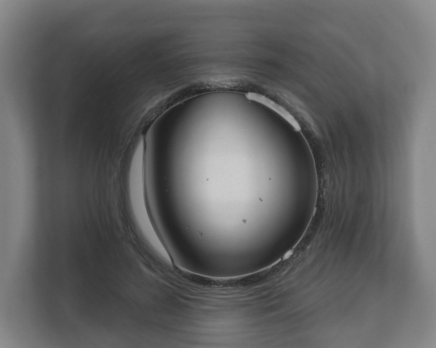 X0000113080596200909041130