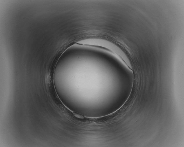 X0000113080597200909041130