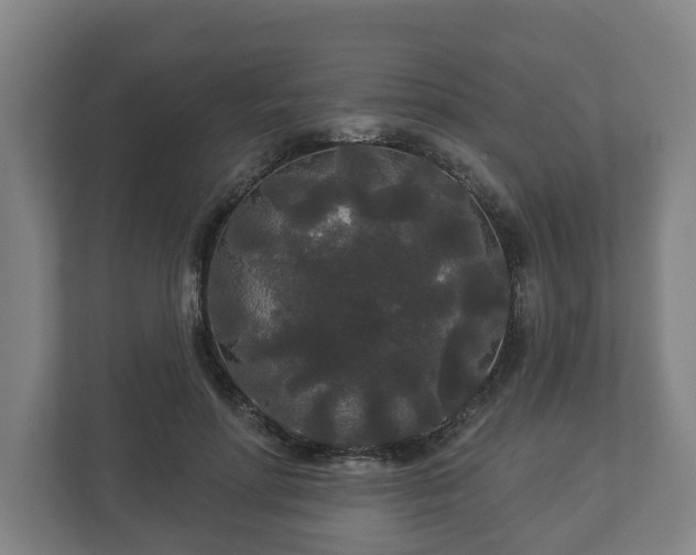 X0000113080598200909041130