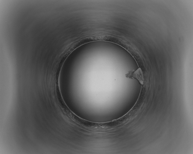 X0000113080599200909041130