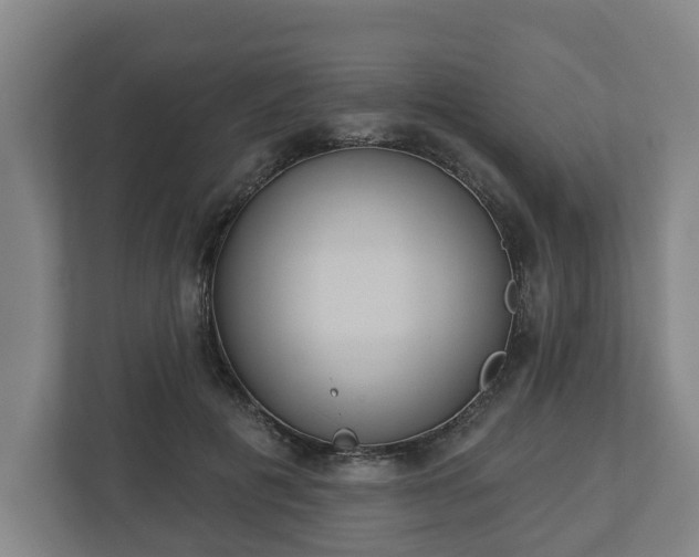 X0000113080601200909041130