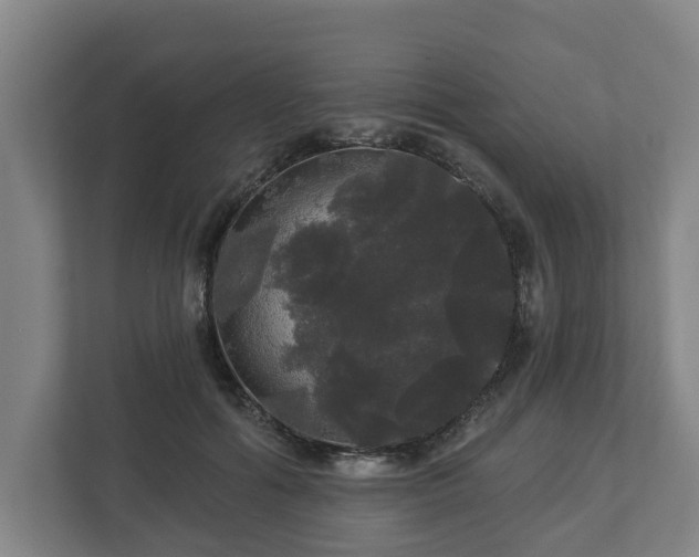 X0000113080602200909041130