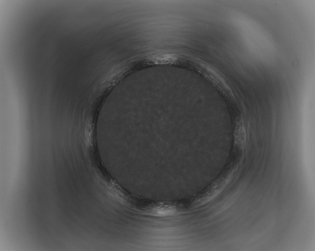 X0000113080604200909041130