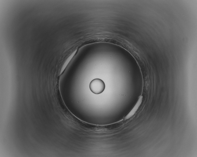 X0000113080605200909041130