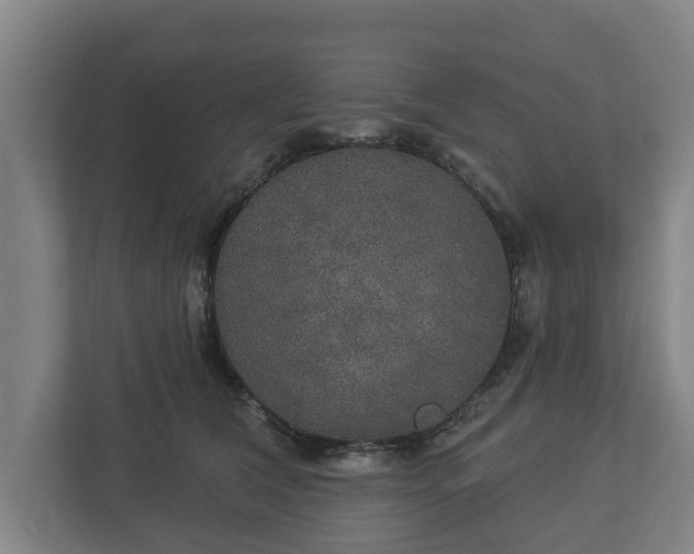 X0000113080612200909041130