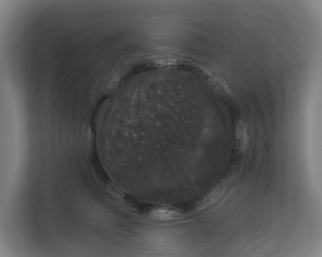 X0000113080614200909041130