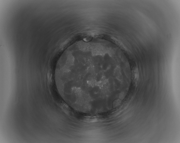 X0000113080615200909041130