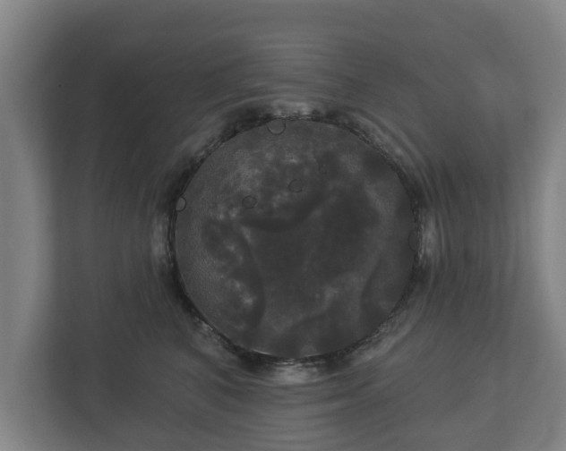 X0000113080616200909041130