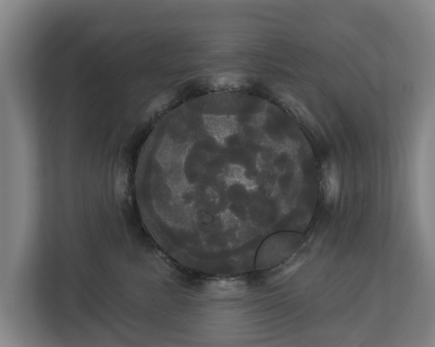 X0000113080619200909041130