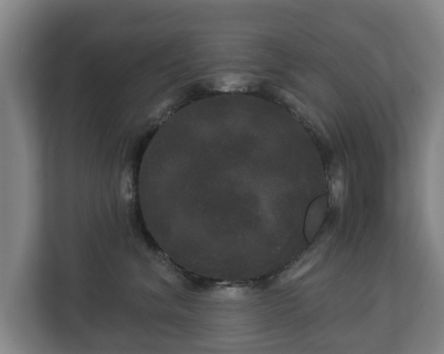 X0000113080620200909041130