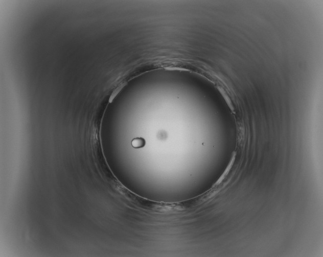 X0000113080621200909041130