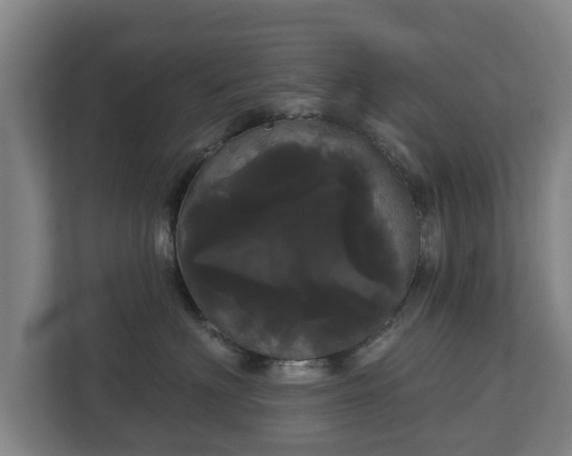 X0000113080622200909041130