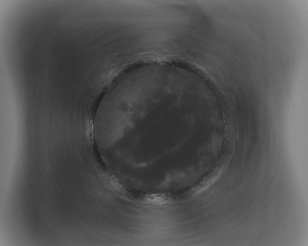 X0000113080624200909041130