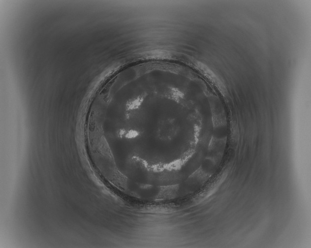 X0000113080625200909041129