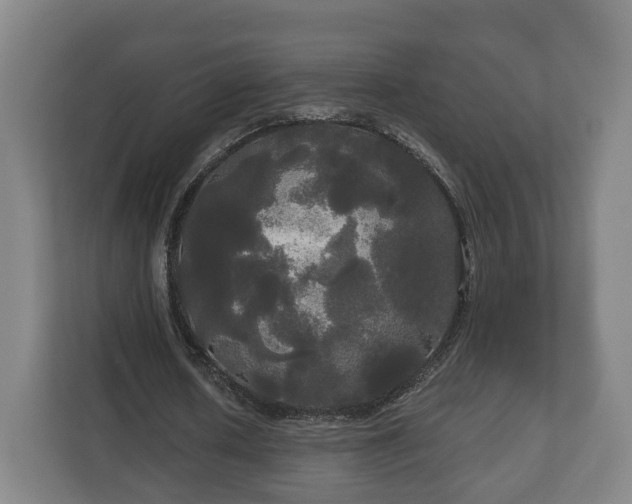 X0000113080626200909041129