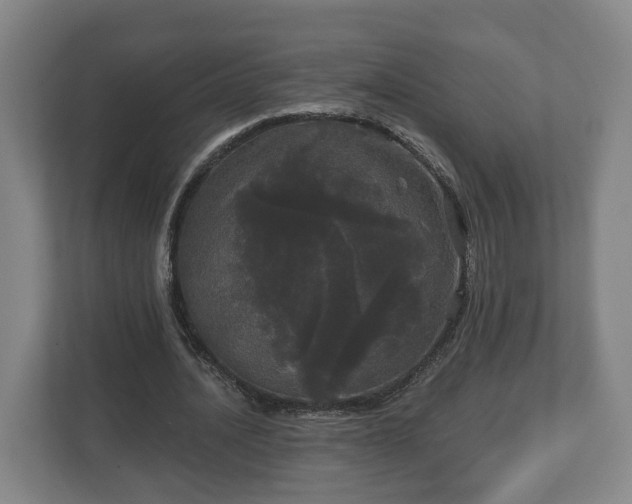 X0000113080628200909041129