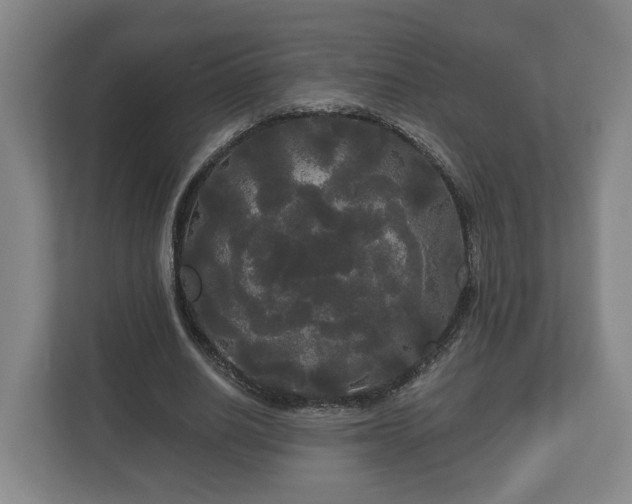 X0000113080630200909041129