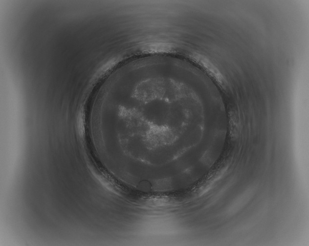 X0000113080631200909041129