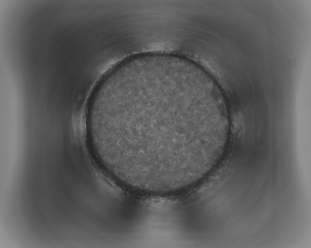 X0000113080632200909041129