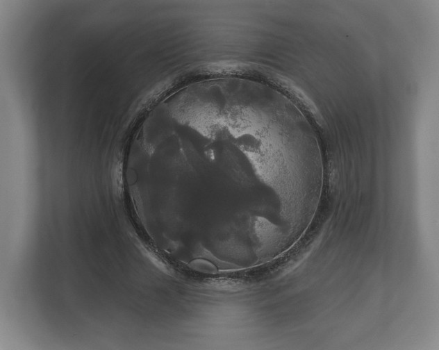 X0000113080633200909041129