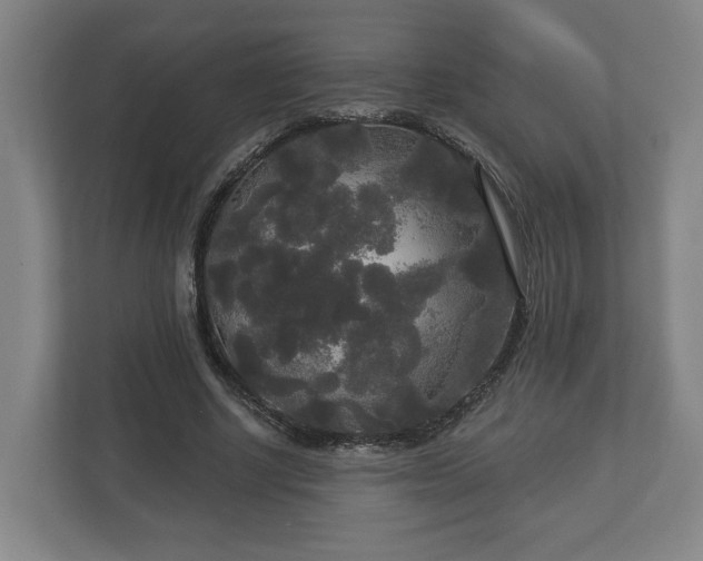 X0000113080634200909041129