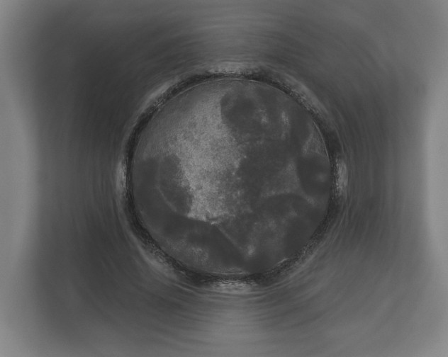 X0000113080636200909041129