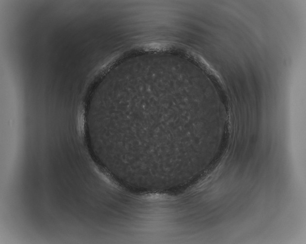 X0000113080637200909041129