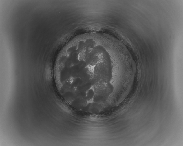 X0000113080641200909041130