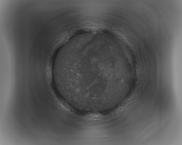 X0000113080642200909041130