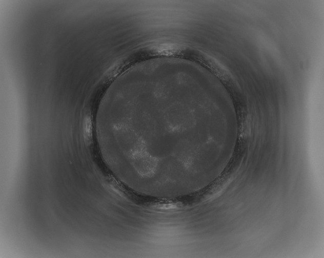 X0000113080646200909041130