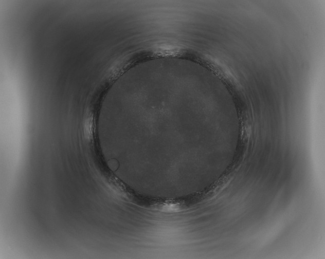 X0000113080647200909041130