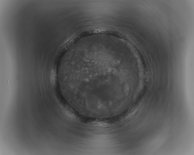 X0000113080648200909041130