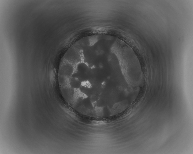 X0000113080649200909041130