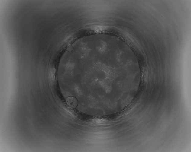 X0000113080650200909041130