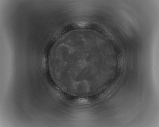 X0000113080651200909041130