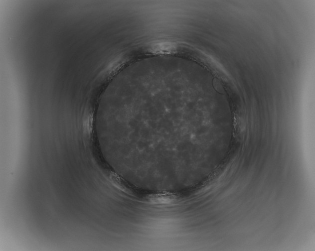 X0000113080652200909041130