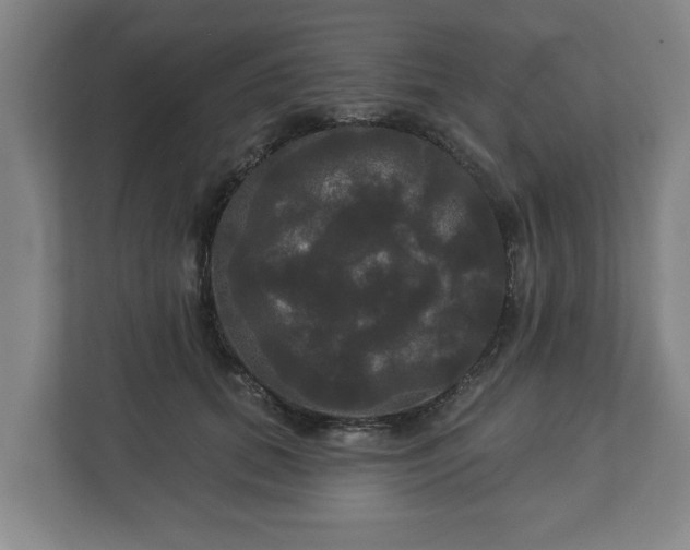 X0000113080655200909041130