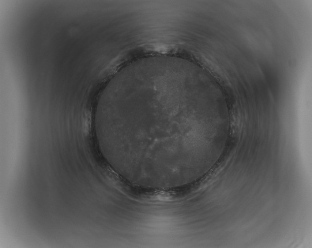 X0000113080656200909041130