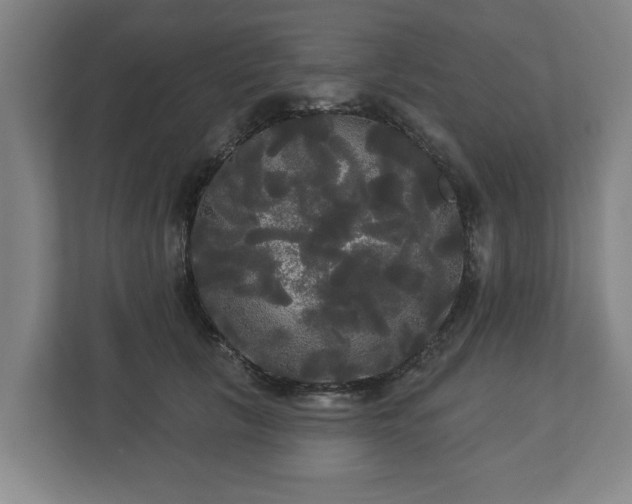 X0000113080657200909041130