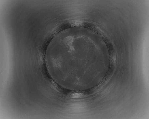 X0000113080658200909041130