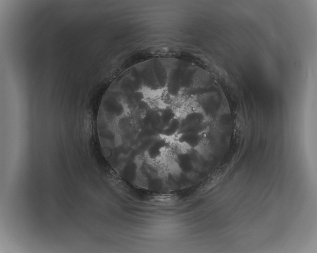 X0000113080659200909041130