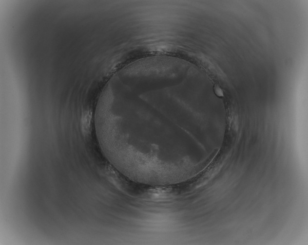 X0000113080660200909041130