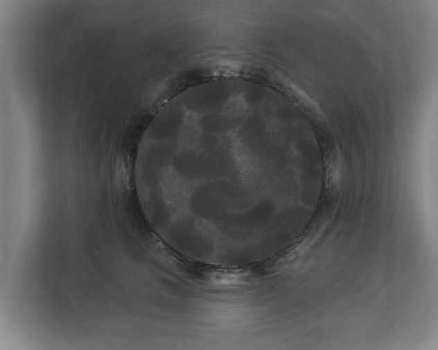 X0000113080661200909041130