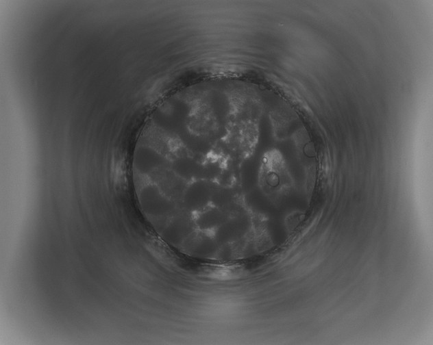 X0000113080663200909041130