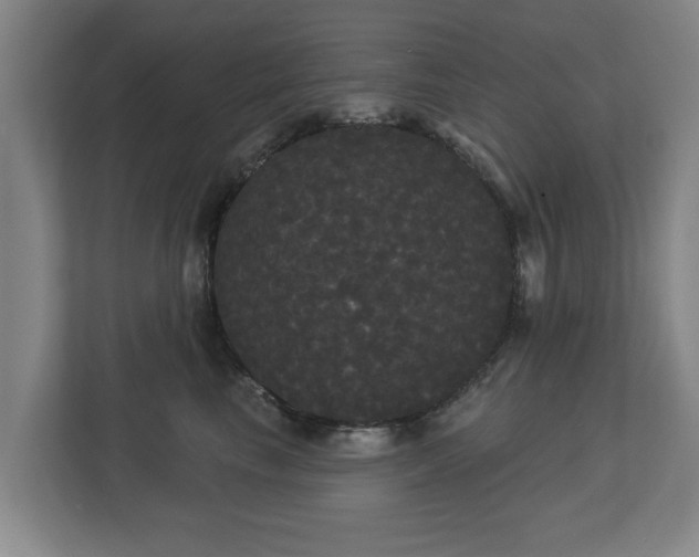 X0000113080665200909041130