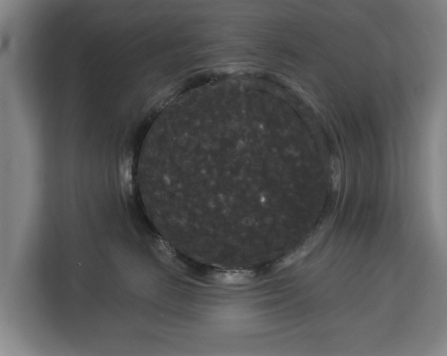 X0000113080670200909041130