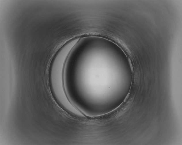 X0000113080673200909041129