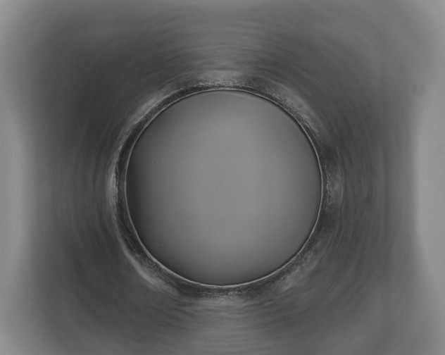 X0000113080674200909041129