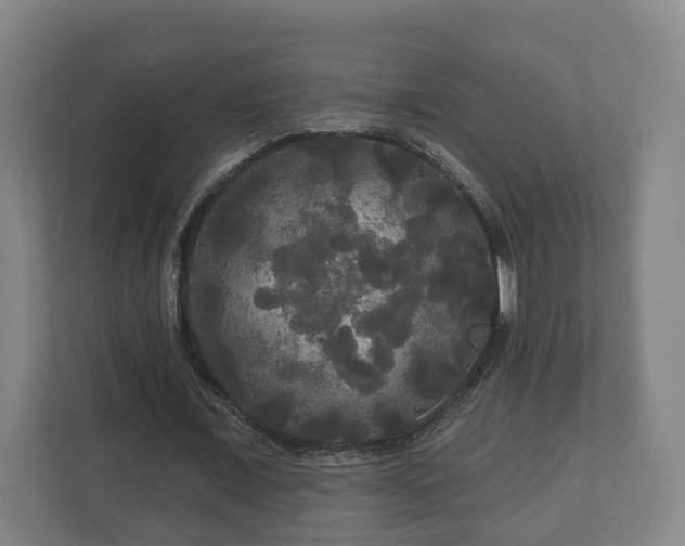 X0000113080675200909041129