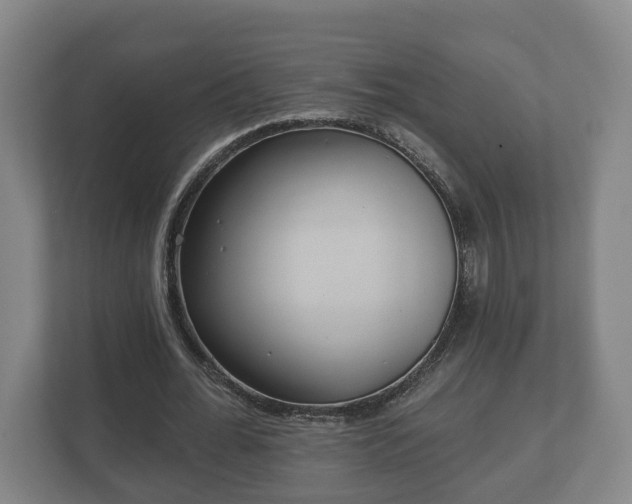 X0000113080676200909041129